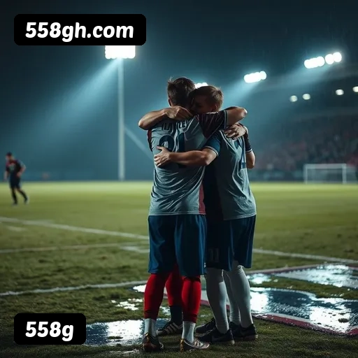 Níveis do programa VIP da 558g